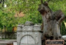 ОбС Асеновград даде „зелена светлина“ за реализация на проект за реставрация на чешмата на Каварджията