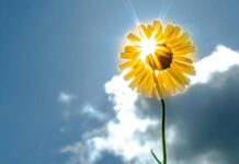 Посрещнахме Джулай Морнинг