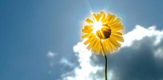 Посрещнахме Джулай Морнинг