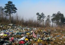 88 хиляди лева събра РИОСВ–Пловдив през юли – повече от половината са за Асеновград