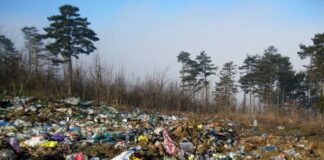 88 хиляди лева събра РИОСВ–Пловдив през юли – повече от половината са за Асеновград