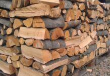3 500 куб. м. дърва за огрев са задържани след проверки от началото на годината