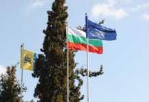 Събития, организирани за 3 март, в Асеновград