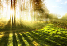 Всички, чиито имена символизират светлина, празнуват днес