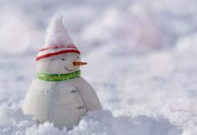 11 дни ще почиват учениците за Коледа