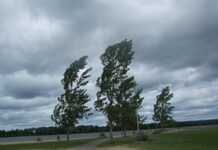 Предупреждения за бурен вятър и снегонавявания през следващото денонощие у нас