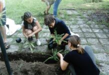 Граждани облагородяват общинска градинка в Асеновград по собствена инициатива