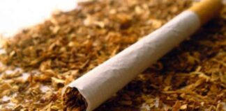 Иззети са голямо количество нелегални цигари от асеновградчанка и пловдивчанка