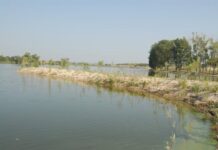 Замърсяване на язовира в с. Конуш и голямо количество мъртва риба са установили екоинспектори преди седмици