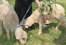 Започва няколкодневният празник Курбан Байран