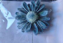 Общински младежки съвет – Асеновград зарадва дамите на празника