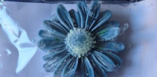 Общински младежки съвет – Асеновград зарадва дамите на празника