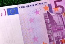 Пробутват фалшиви евробанкноти в Пловдив