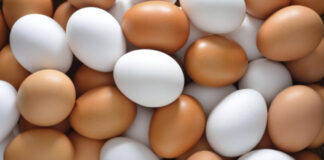 БАБХ ще извърши извънредни проверки в цялата страна по повод Великден и Гергьовден