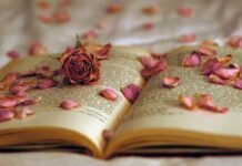 Днес е Международният ден на музиката и поезията