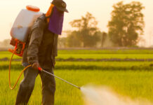 Пръскат с хербицид срещу плевели площите около Гарата, приберете пчелите