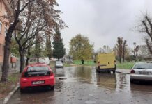 Паднало дърво, запушени шахти, реки по улиците и огромни локви след пороя в Асеновград
