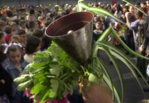 Проверяват дали първолаците, получили целева помощ, посещават редовно училище