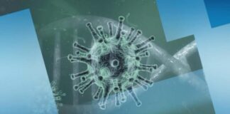 41 са заразените лица с COVID-19 в Асеновград