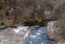 Провериха сигнала за мъртва риба в река Чая, търсят причината за замърсяването