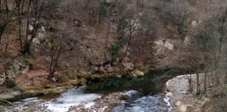 Провериха сигнала за мъртва риба в река Чая, търсят причината за замърсяването