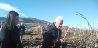 93-годишният Димитър Павлов пръв заряза лозите в Куклен