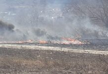 Пожар се разрази край околовръстния път на Асеновград тази събота