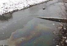 Мазни петна плуват в река Чая в центъра на Асеновград