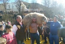 Отменят пехливанските борби заради коронавируса