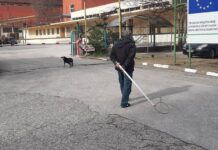 Улов на безпризорни кучета се проведе в Асеновград днес, транспортираха ги в пловдивския приют