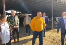 На живо: Премиерът Борисов на посещение в кравефермата на асеновградския бизнесмен и общински съветник от ГЕРБ, Петър Филипов