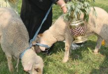 Мюсюлманите празнуват Курбан Байрам