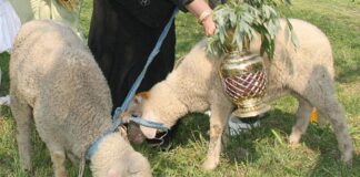 Мюсюлманите празнуват Курбан Байрам