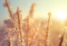 Днес, минута преди 18 ч., настъпва астрономическата зима