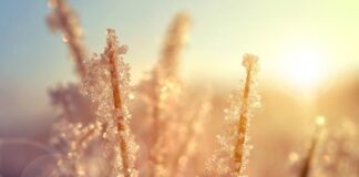 Днес, минута преди 18 ч., настъпва астрономическата зима