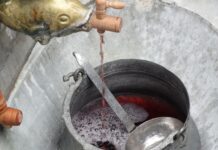 Кой ще е майсторът на виното тази година, ще разберем след броени часове