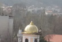 Щъркелите дойдоха в Асеновград