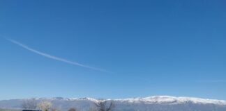 Тенденция към намаляване на ПТП-тата в областта по време на въведената карантина