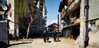 ОДМВР – Пловдив отчита наполовина спад на регистрираните престъпления