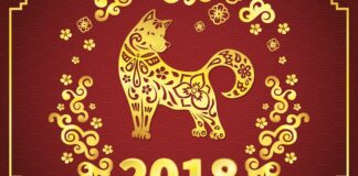 2018 е годината на Жълтото Земно Куче