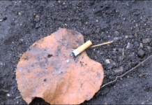 Стартира кампанията „Какво толкова“ за опазване на околната среда