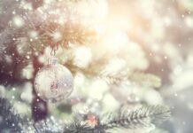 Кога ще има сняг в Асеновград – не и през тази година