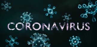 8 новодиагностицирани с COVID-19 лица в Пловдив област за последните 24 часа