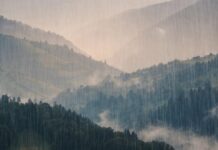 Дъждът, като манна небесна в борбата с планинските пожари