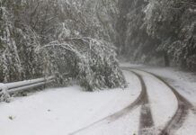 Затвориха „Рожен“ и „Превала“ за движение на МПС над 12 т., останалите трябва да са с вериги
