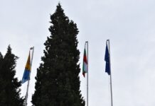 В Асеновград подмениха около 80 знамена за празника на града