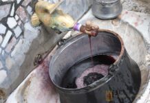 Винена фиеста в Асеновград през следващите дни