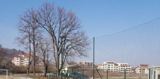 Организират две футболни събития в Асеновград с благотворителна цел