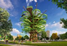 Община Асеновград кандидатства за изграждане на атракцион от „Walltopia“