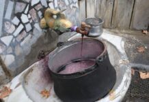 Започна приемът на вина за конкурса за най-добро домашно вино